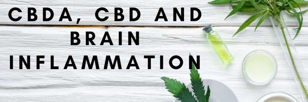 cbda cbd brain inflammation