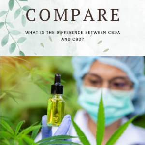 CBDA vs CBD comparison