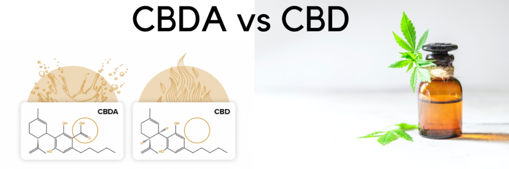 CBDA for pain vs cbd