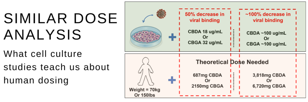 CBDA and CBGA covid19 dose