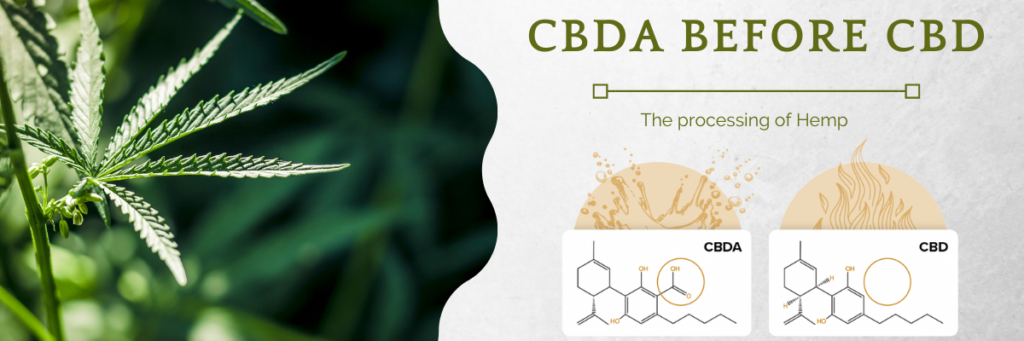 CBDA flower decarboxylation