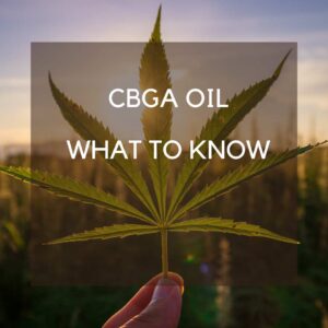 cbga oil benefits