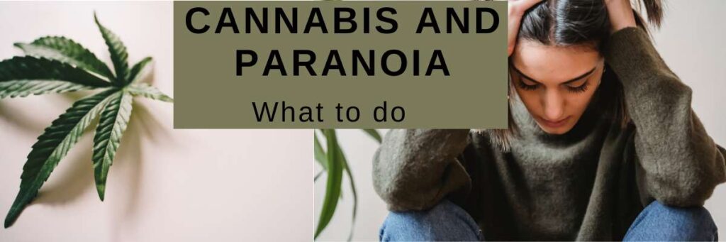 stop paranoia from weed