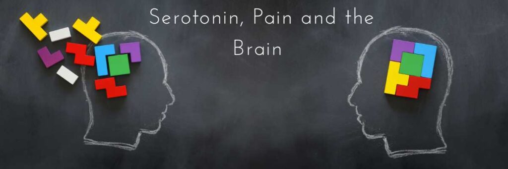 cbda pain serotonin brain