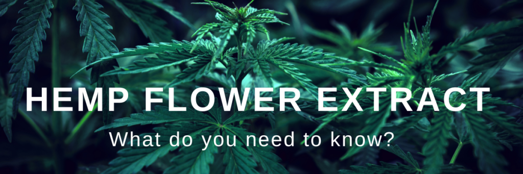 Hemp flower extract what should i know