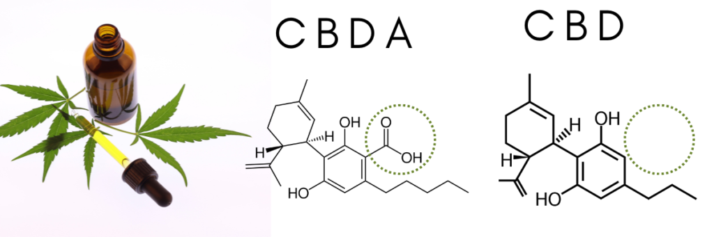 CBDA for inflammation