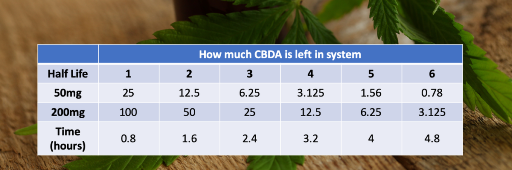 How long does cbda stay in your system