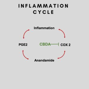 cbda stop inflammation