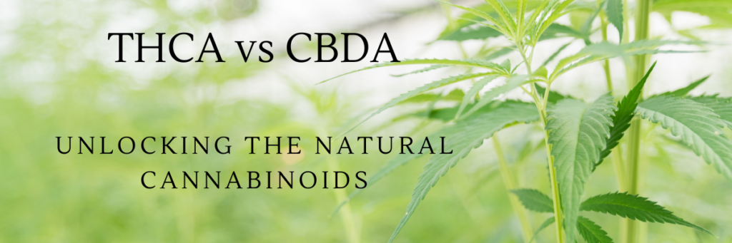 THCA vs CBDA