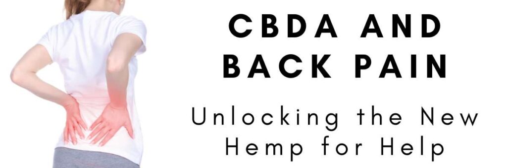 cbda for back pain