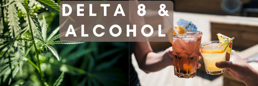delta 8 and alcohol