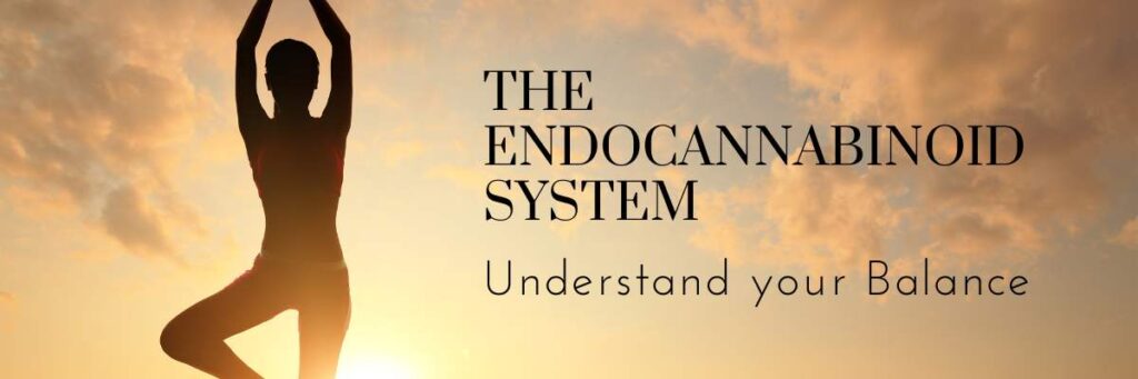 the human endocannabinoid system