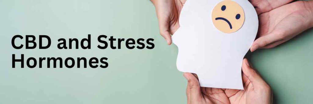 cbd and stress hormones