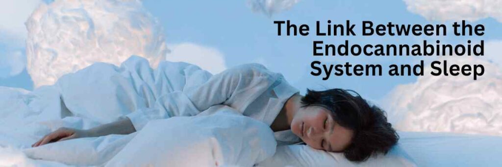 The endocannabinoid system and sleep