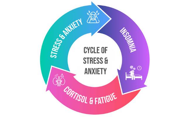 sleep stress cycle CBDA